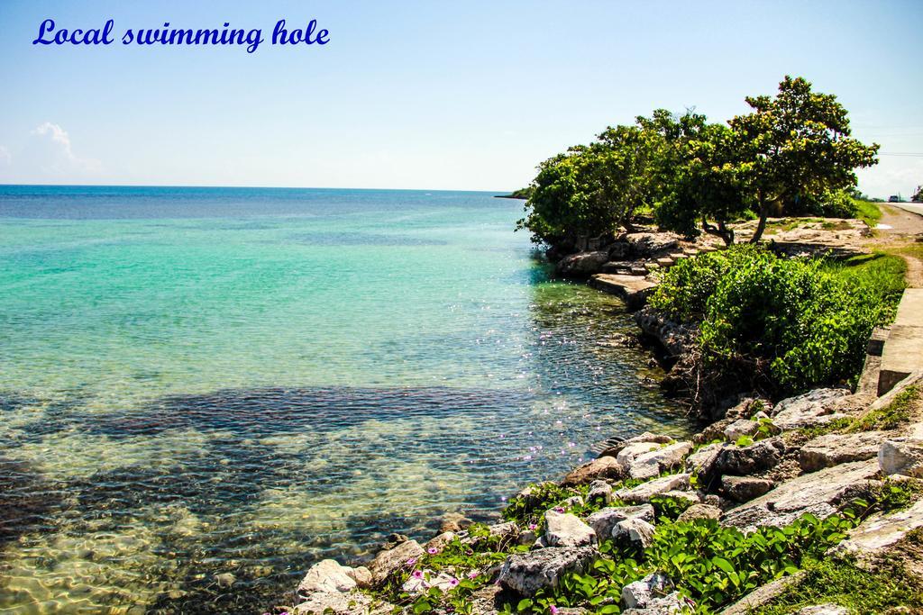 Sunshine Lodge: Your Home Away From Home Montego Bay Exterior foto