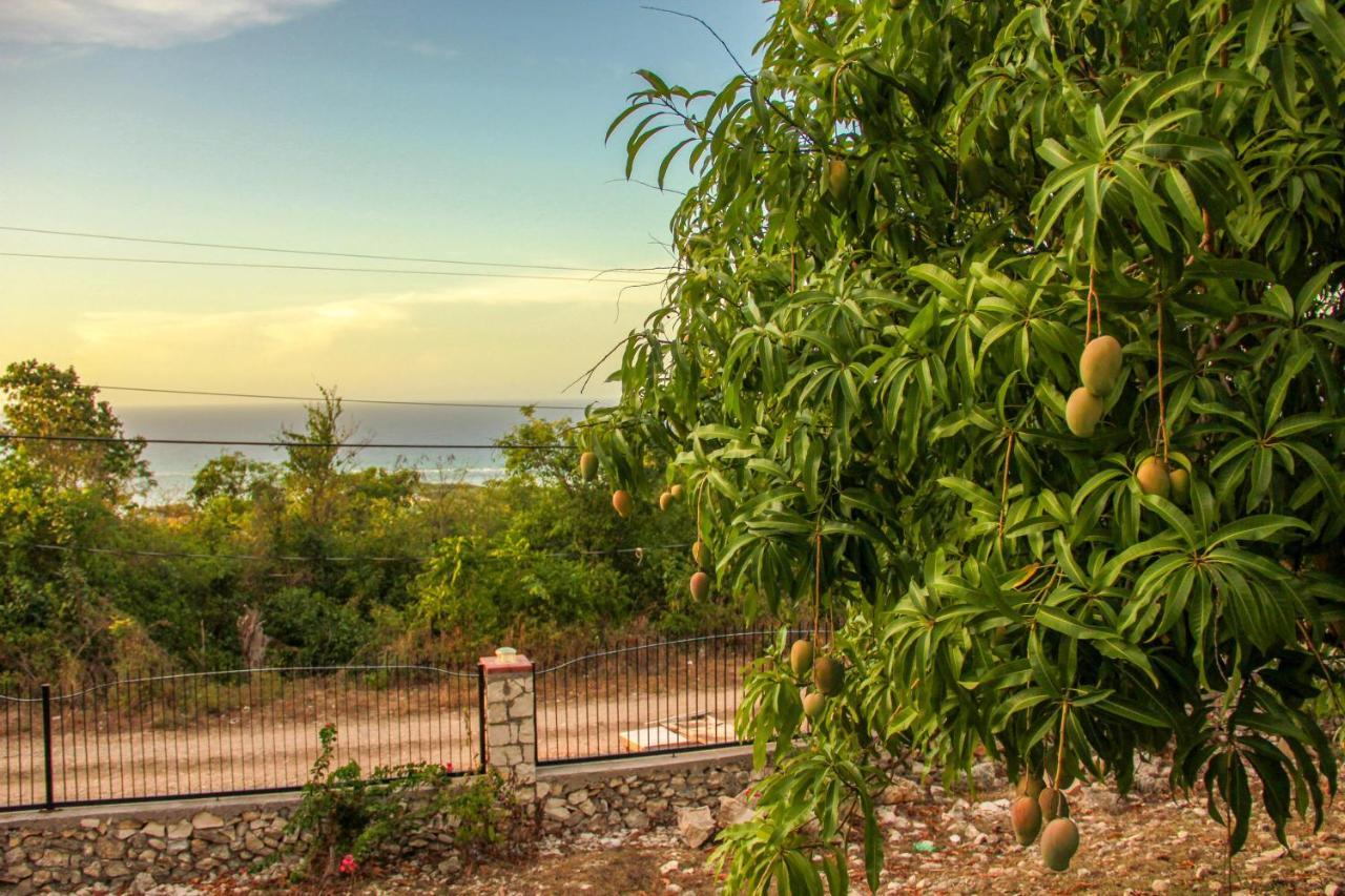 Sunshine Lodge: Your Home Away From Home Montego Bay Exterior foto