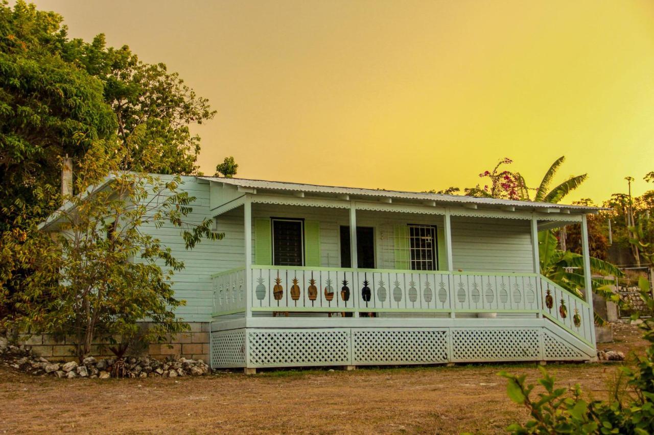 Sunshine Lodge: Your Home Away From Home Montego Bay Exterior foto