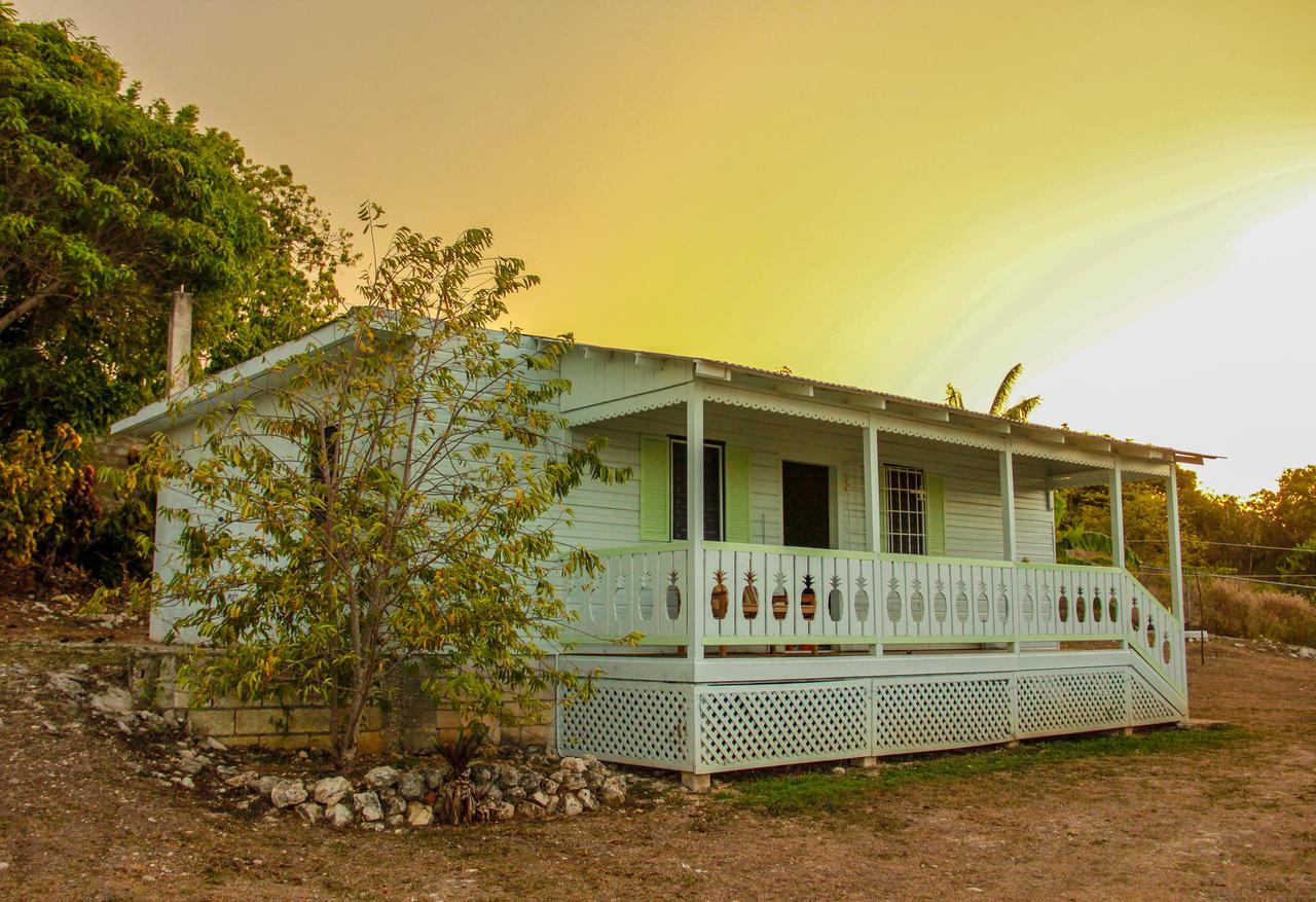 Sunshine Lodge: Your Home Away From Home Montego Bay Exterior foto